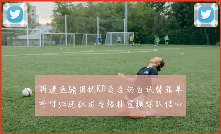 再遭鱼腩困扰KD是否仍自认替罪羊呼吁归还狄龙与格林重振球队信心