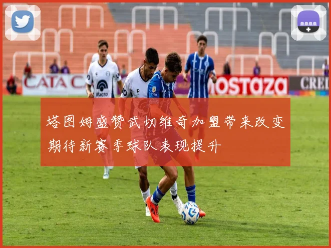 塔图姆盛赞武切维奇加盟带来改变期待新赛季球队表现提升