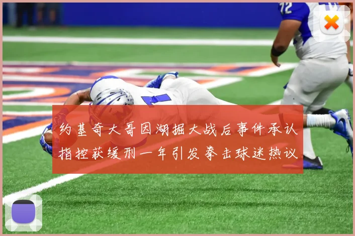约基奇大哥因湖掘大战后事件承认指控获缓刑一年引发拳击球迷热议