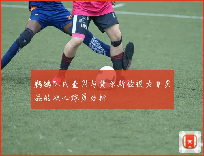 鹈鹕队内奎因与费尔斯被视为非卖品的核心球员分析