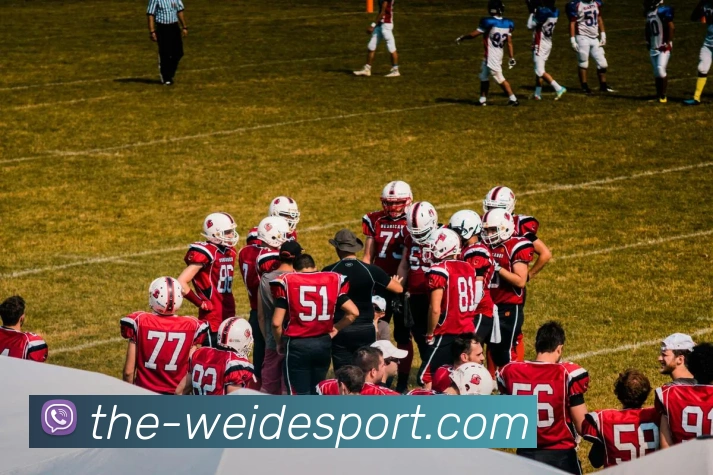 伟德体育平台生态图