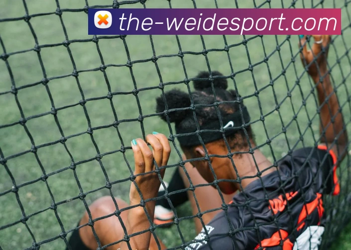 伟德体育全站App