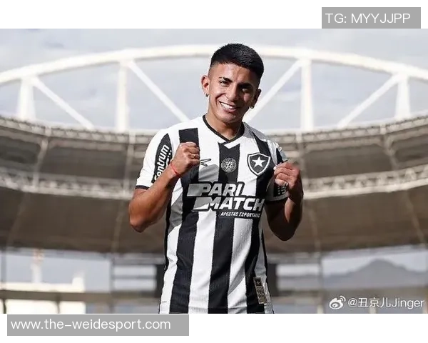 博塔弗戈因拖欠阿尔马达转会费遭禁转会处罚及利息问题引发关注